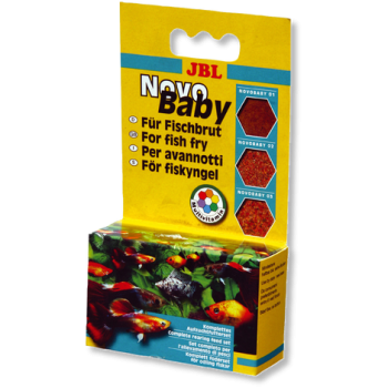 NovoBaby