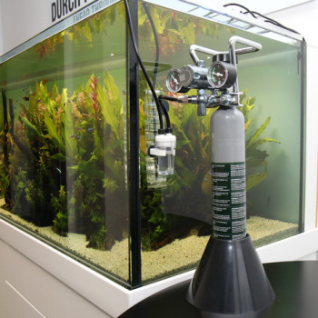 Proflora Taifun Spiral 10