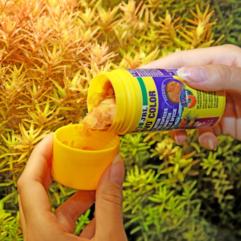 ProNovo Color Flakes