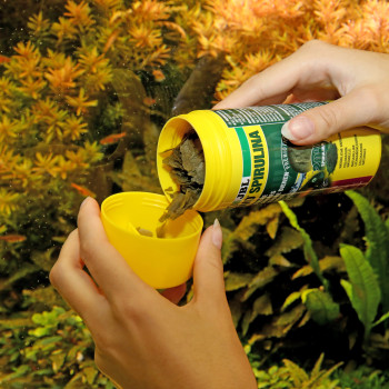 ProNovo Spirulina Flake