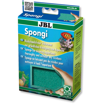 Spongi