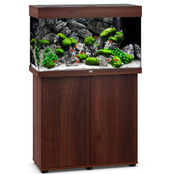 Rio 125LED