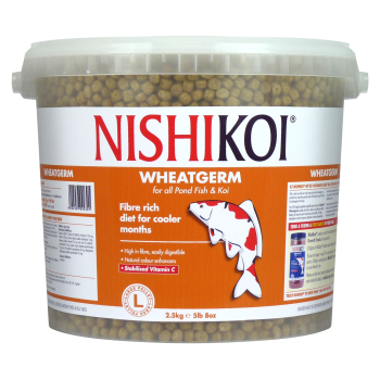 Wheatgerm Food