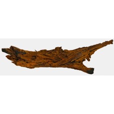 Driftwood Small