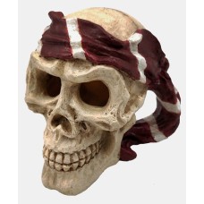 Skull Red Pirate