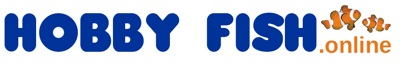 Hobby Fish Online